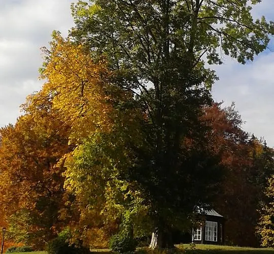 Lodge Pepino